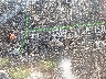 ML5EREP19PD****** Salvamento 2023 Kawasaki Z650 en Rec Rides Online Exclusive