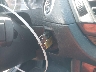 WBAVL1C59EV****** Salvamento 2014 BMW X1 en Estado de Massachusetts