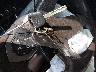 1GCRCREH6EZ****** Salvage 2014 Chevrolet Silverado 1500 in Louisiana State