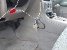 JF1SG63625H****** Salvage 2005 Subaru Forester in Texas State