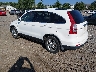 JHLRE4H72BC****** Salvamento y Reparables 2011 Honda CR-V en Southern New Jersey