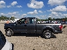 1FTEX1EP6GF****** Salvage 2016 Ford F-150