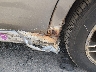 1FAHP3FN7BW****** Salvage and Repairable 2011 Ford Focus in Massachusetts State