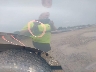 1GCPYBEKXMZ****** Salvage and Wrecked 2021 Chevrolet Silverado 1500 in Columbus