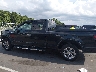 1FTEX1CF7FF****** Salvage 2015 Ford F-150