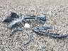 JF2SLSRD0SH****** Destrozados 2025 Subaru Forester en Estado de Ohio