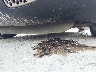 1G2MC35B18Y****** Salvage and Repairable 2008 Pontiac Solstice in Washington State