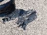 2C3CDXJG0HH****** Repairable 2017 Dodge Charger