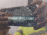 3N1AB8CV6MY****** Used 2021 Nissan Sentra in Flint