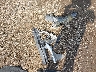 3GNAXKEV0KS****** Wrecked 2019 Chevrolet Equinox in Ohio State