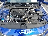 KMHLM4DG3SU****** Reparables 2025 Hyundai Elantra en Nashville