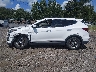 5NMZT3LB0HH****** Reparables 2017 Hyundai Santa Fe en Estado de Carolina del Sur