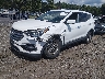 5NMZT3LB0HH****** Usados y Reparables 2017 Hyundai Santa Fe en Greenville