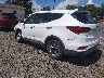 5NMZT3LB0HH****** Salvamento y Reparables 2017 Hyundai Santa Fe en Greenville
