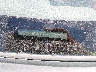 1NXBR32E67Z****** Wrecked 2007 Toyota Corolla in Texas State