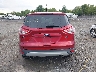 1FMCU9GX8DU****** Usados 2013 Ford Escape