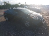 5NPDH4AE8DH****** Salvage and Wrecked 2013 Hyundai Elantra in West Palm Beach