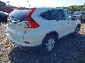 5J6RM4H56FL****** Salvage and Wrecked 2015 Honda CR-V in New Jersey State