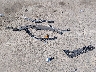 4T1BF1FK5EU****** Wrecked 2014 Toyota Camry in California State