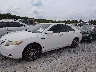 4T4BE46KX9R****** Usados y Reparables 2009 Toyota Camry en Chattanooga