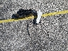 3KPF24AD2RE****** Wrecked 2024 Kia Forte in Florida State