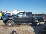 1FTFW1CF5DF****** Reparables 2013 Ford F-150 en Estado de Texas