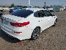 5XXGT4L34KG****** Salvamento y Destrozados 2019 Kia Optima en Estado de Nuevo México