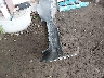 5XXGR4A61DG****** Wrecked 2013 Kia Optima in Nebraska State