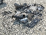 WD4PG2EE0G3****** Salvage and Wrecked 2016 Mercedes-Benz Metris in Oregon State