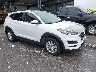 KM8J2CA43KU****** Salvamento y Destrozados 2019 Hyundai Tucson en Omaha South