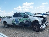1FT7W2B61KE****** Destrozados 2019 Ford F-250 en Estado de Texas