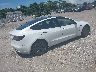 5YJ3E1EA1PF****** Salvage and Wrecked 2023 Tesla Model 3 in Florida State