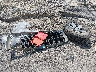 1D7HA18N36S****** Wrecked 2006 Dodge Ram 1500 in Tennessee State