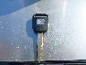 2HGFG11666H****** Salvage 2006 Honda Civic in Nevada State