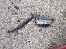 2FMPK3K82JB****** Reparables 2018 Ford Edge
