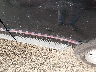 1MEPM6240PH****** Wrecked 1993 Mercury Cougar in Ohio State