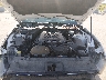 1FA6P8CF1F5****** Repairable 2015 Ford Mustang in Houston South