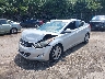 5NPDH4AE6DH****** Usados y Reparables 2013 Hyundai Elantra en Bridgeport
