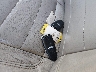 1FADP5CU4FL****** Salvage 2015 Ford C-Max Energi in Georgia State