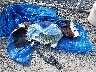 5UXCW2C08L9****** Wrecked 2020 BMW X7 in New York State