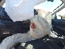 4S4BTADC4P3****** Salvamento y Reparables 2023 Subaru Outback en Estado de Massachusetts