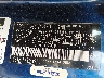 4T1BB46K68U****** Used 2008 Toyota Camry Hybrid in Phoenix
