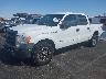 1FTFW1ET2DK****** Used and Repairable 2013 Ford F-150 in Las Vegas