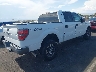 1FTFW1ET2DK****** Salvage and Wrecked 2013 Ford F-150 in Nevada State