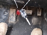 5J6TF3H55DL****** Salvamento 2013 Honda Crosstour en Estado de Ohio