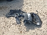 1GCHSBENXH1****** Wrecked 2017 Chevrolet Colorado in Tennessee State