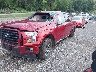 1FTEW1EF3GF****** Used and Repairable 2016 Ford F-150 in Pulaski