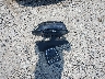 2C3CDXKT5KH****** Destrozados 2019 Dodge Charger Police Awd en Estado de Ohio