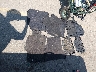 3KPFK4A77HE****** Wrecked 2017 Kia Forte in Colorado State