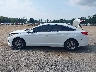 5NPE24AF3GH****** Salvamento 2016 Hyundai Sonata